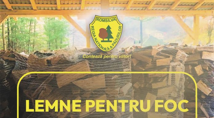 Două milioane de metri cubi de lemn pentru foc de la Romsilva în 2026, la prețuri similare celor de anul trecut