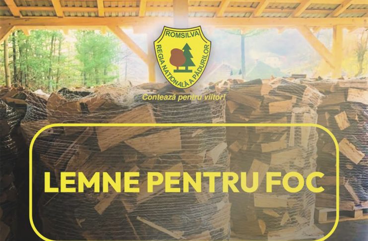 Două milioane de metri cubi de lemn pentru foc de la Romsilva în 2026, la prețuri similare celor de anul trecut