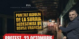 Protest, vineri, în fața sediului DSVSA Vrancea și a padocului privat de la Suraia