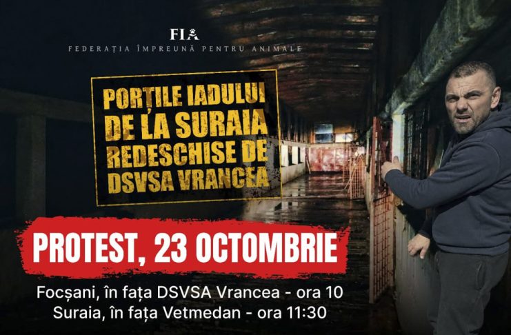 Protest, vineri, în fața sediului DSVSA Vrancea și a padocului privat de la Suraia