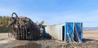 FOTO Fermele de creștere a porcilor din apropierea Focșaniului, amendate pentru poluare