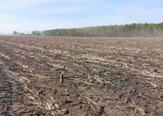 FOTO Fermele de creștere a porcilor din apropierea Focșaniului, amendate pentru poluare 3 dejectii poluare 2