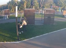 distrugere parc suraia 5