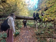 FOTO „REconectare – cu natura, cu ceilalți și cu noi înșine” / O zi dedicată sănătății mintale, mișcării și echilibrului, în Cheile Tișiței 5 djst tineret 4