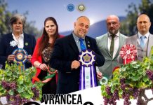 Spectacol chinologic, în weekend: Vrancea Dog Show 2026 dog show 2026