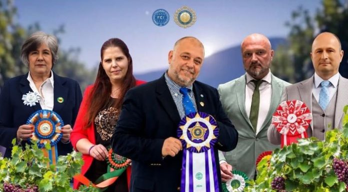 Spectacol chinologic, în weekend: Vrancea Dog Show 2026
