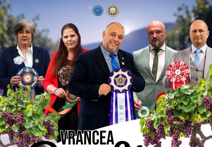 Spectacol chinologic, în weekend: Vrancea Dog Show 2026