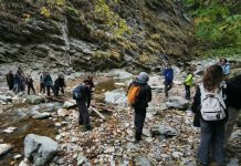 FOTO Ecologia și responsabilitatea față de natură, în Săptămâna Verde, la Colegiul Cuza din Focșani elevi cuza ecologie