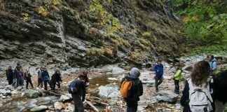 FOTO Ecologia și responsabilitatea față de natură, în Săptămâna Verde, la Colegiul Cuza din Focșani