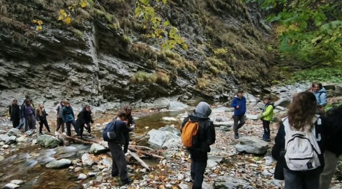 FOTO Ecologia și responsabilitatea față de natură, în Săptămâna Verde, la Colegiul Cuza din Focșani