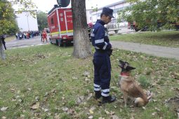 FOTO Exercițiu cu forțe și mijloace în teren la Colegiul Tehnic „Ion Mincu” din Focșani 5 exercitiu isu 6