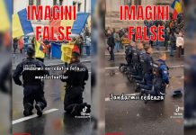 fals jandarmerie