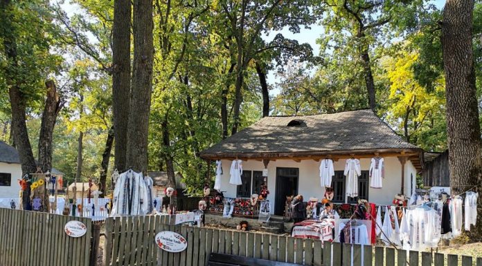 FOTO Meșteri populari, producători locali, tradiții și muzică populară, în acest weekend, în Crângul Petrești