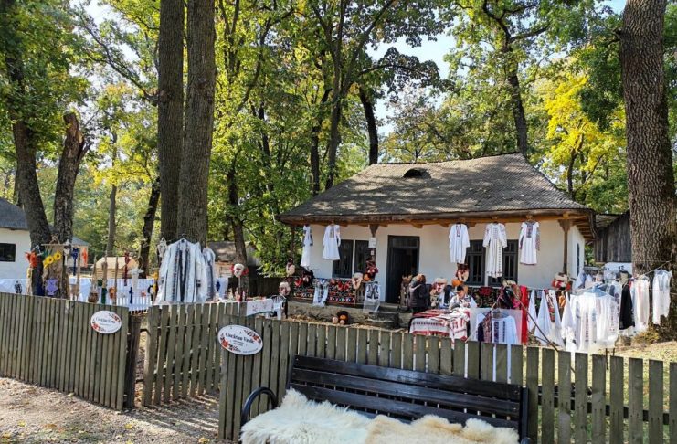 FOTO Meșteri populari, producători locali, tradiții și muzică populară, în acest weekend, în Crângul Petrești