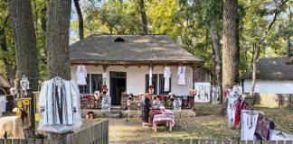 FOTO Rapsodii de toamnă, și astăzi, în Crângul Petrești: meșteri populari, producători locali, artiști populari, activități pentru copii