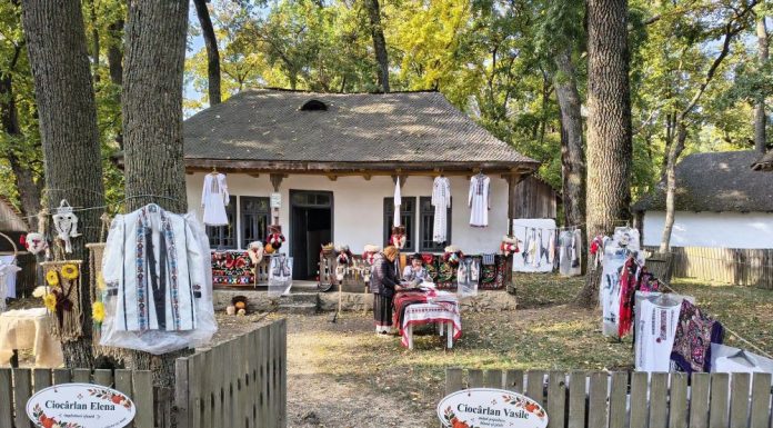 FOTO Rapsodii de toamnă, și astăzi, în Crângul Petrești: meșteri populari, producători locali, artiști populari, activități pentru copii