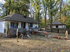 FOTO Meșteri populari, producători locali, tradiții și muzică populară, în acest weekend, în Crângul Petrești 1 muzeul satului toamna 1