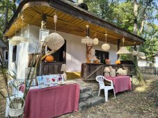 FOTO Meșteri populari, producători locali, tradiții și muzică populară, în acest weekend, în Crângul Petrești 5 muzeul satului toamna 4