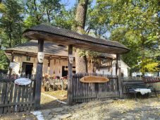 FOTO Meșteri populari, producători locali, tradiții și muzică populară, în acest weekend, în Crângul Petrești 9 muzeul satului toamna 5