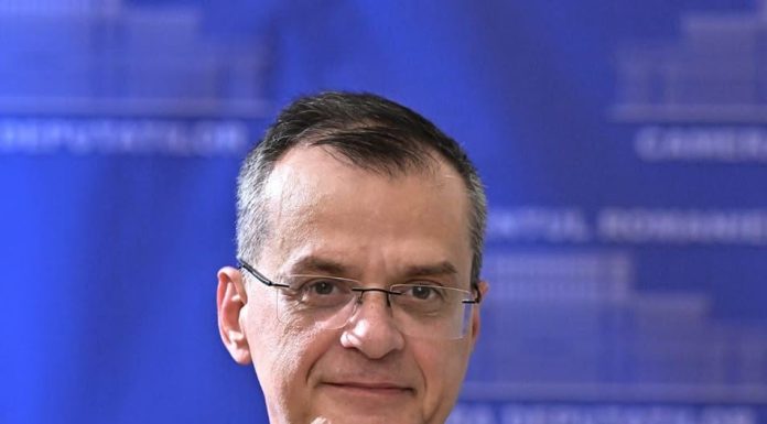 Nini Săpunaru a demisionat din funcția de secretar de stat pentru Relația cu Parlamentul