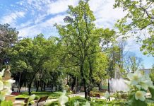 Concurs pentru postul de șef al Serviciului proiectare peisagistică și control servicii publice / Primăria Focșani face apel la specialiști în peisagistică parc