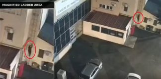 VIDEO Rețea de sabotaj coordonată din Federația Rusă, implicată în provocarea incendiului la o firmă a ROMARM
