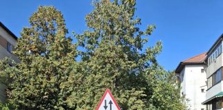 Reguli noi de circulaţie pe strada Cezar Bolliac din Focșani