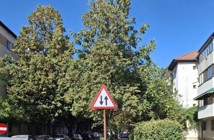 Reguli noi de circulaţie pe strada Cezar Bolliac din Focșani