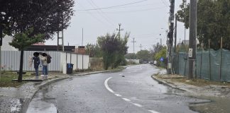 REVOLTĂTOR | FOTO Stații de autobuz desființate pentru că-l deranjau pe șeful Poliției Animalelor din Focșani