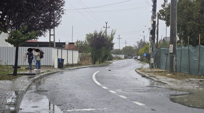 REVOLTĂTOR | FOTO Stații de autobuz desființate pentru că-l deranjau pe șeful Poliției Animalelor din Focșani