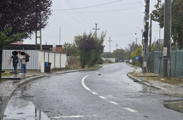 REVOLTĂTOR | FOTO Stații de autobuz desființate pentru că-l deranjau pe șeful Poliției Animalelor din Focșani
